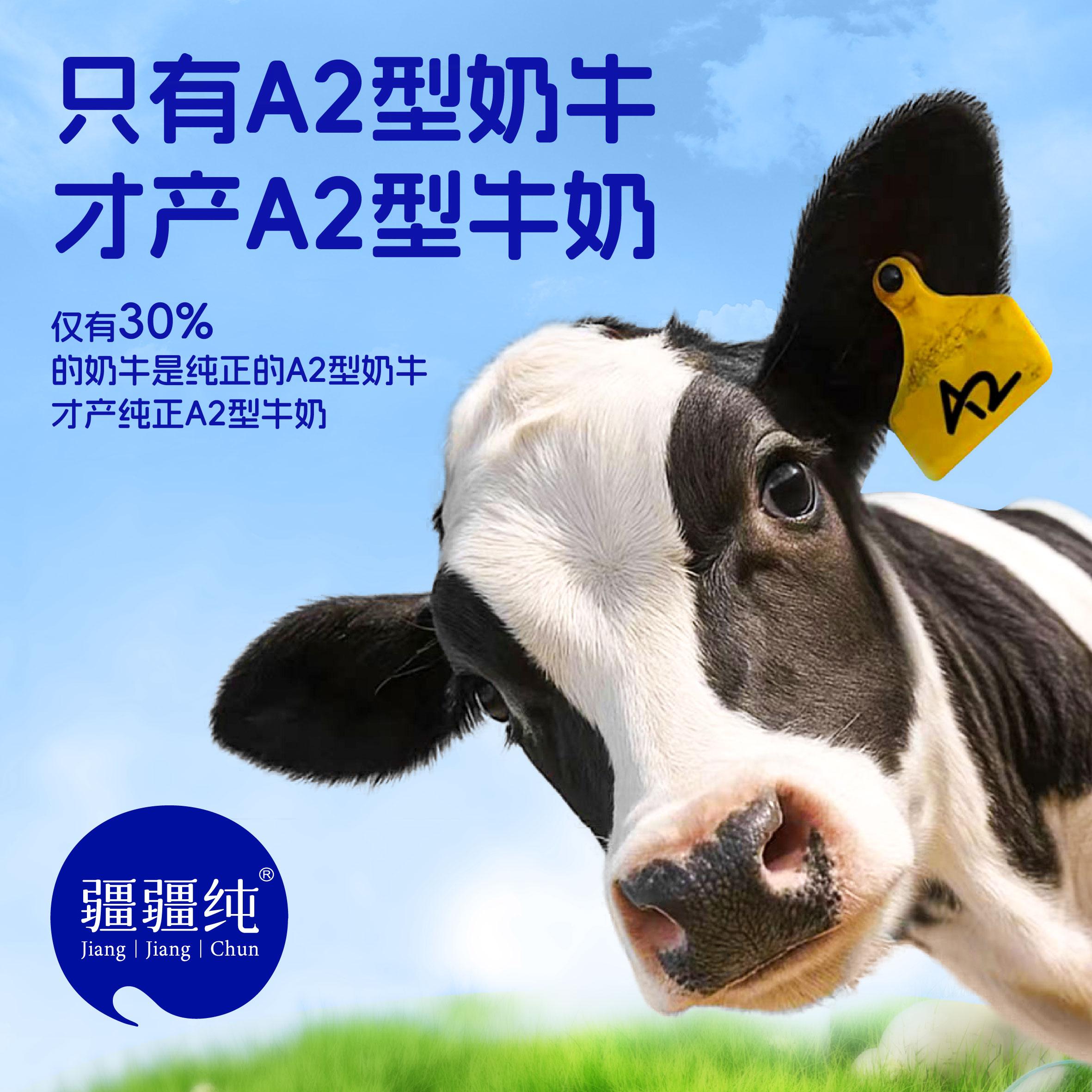 疆疆纯A2β-酪蛋白纯牛奶健康营养成长早餐200ml×10盒亲和易吸收牛奶整箱4.2g/100mL优质乳蛋白高清大图