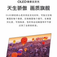 苏宁宜品&创维 55S81 55英寸超薄OLED 悬浮全面屏电视