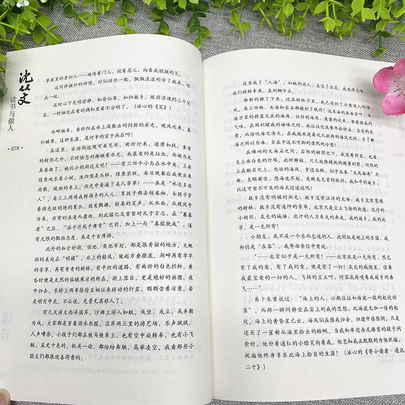 [正版]沈从文读书与做人国学大师经典系列 近现代随笔文学作品看名家品读文学散文了解读书心得做人的品格中国人的哲学思想高清大图