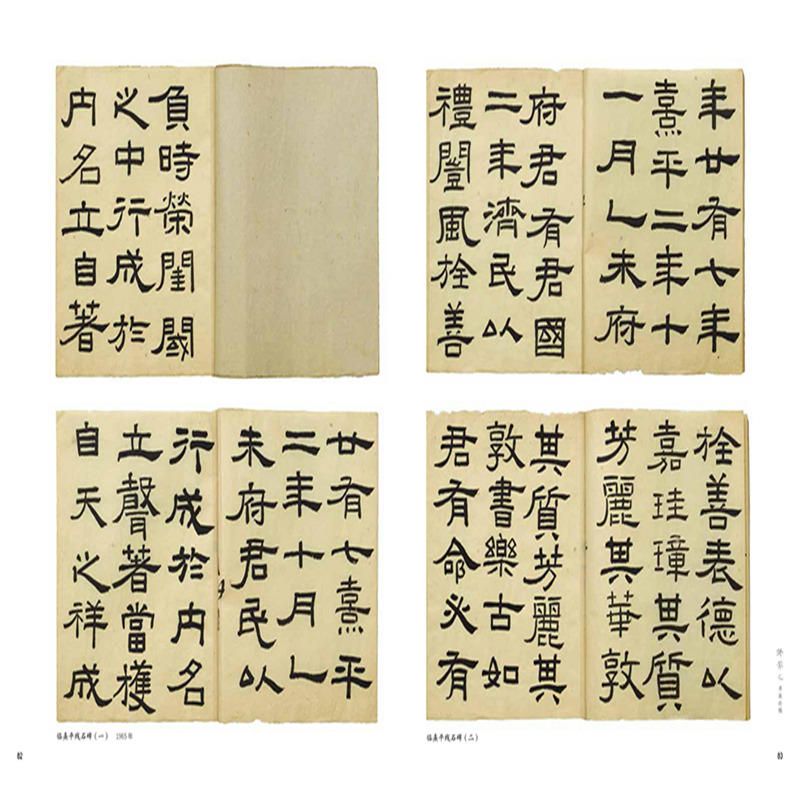 醉染图书林散之书画论稿97875586105高清大图