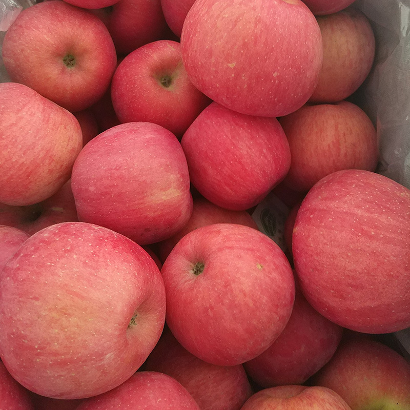 林青寻 红富士苹果5斤高清大图