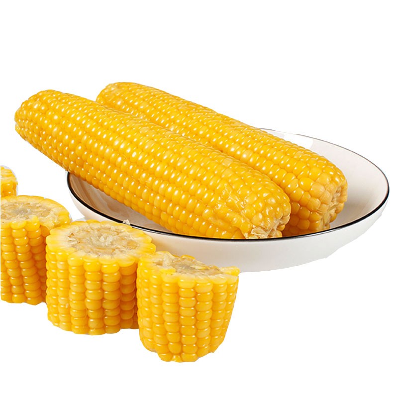 180°大变玉米涨势“松动”接下来“报复性”跌落？附：11月19日玉米价格