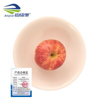 铂锜澳 白色陶瓷斗碗10个装/件 6寸-15cm