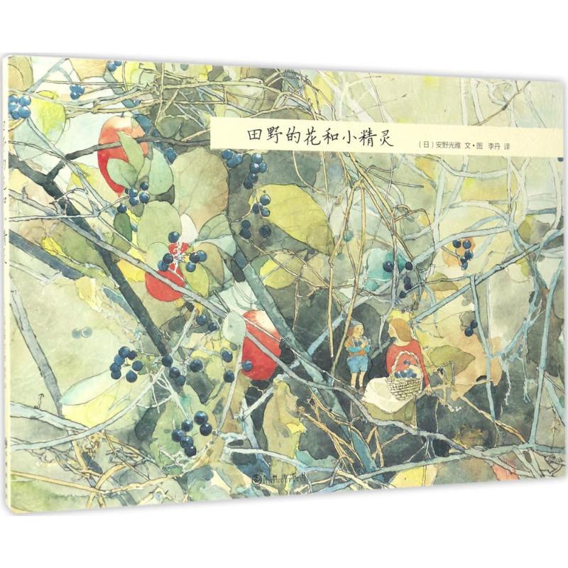 田野的花和小精灵