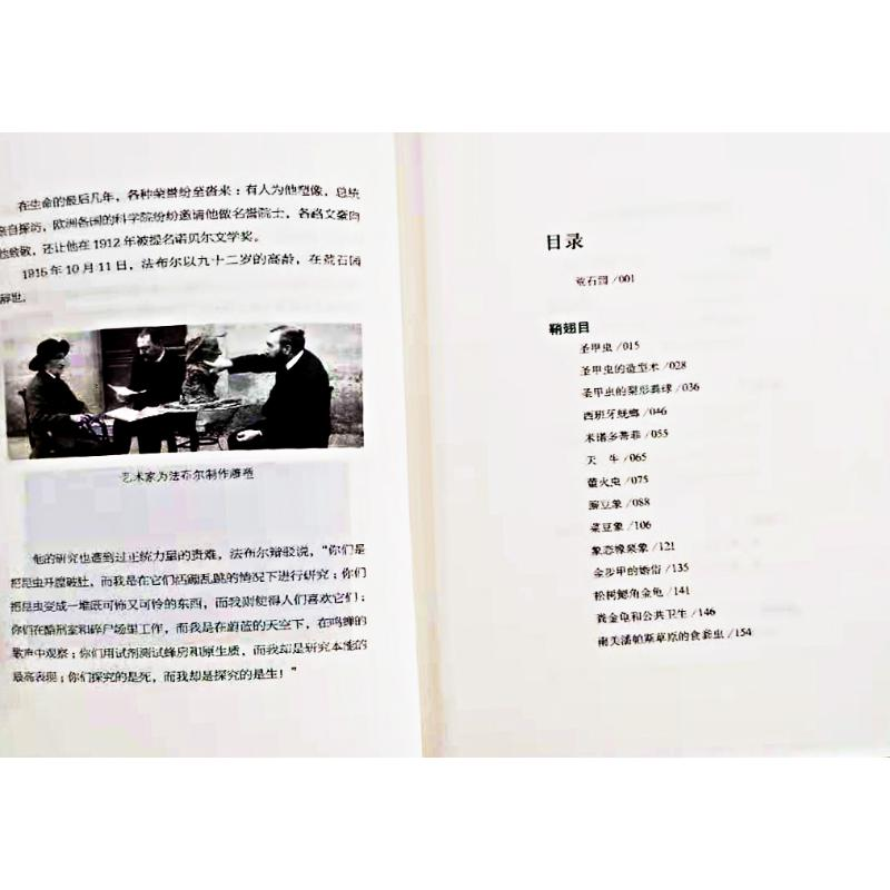 醉染图书昆虫记9787505733138高清大图