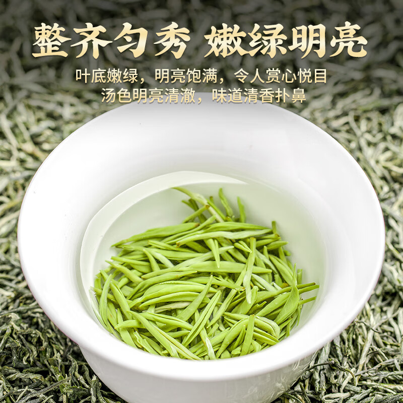 天洲溪天洲溪明前毛尖天洲溪 绿茶 信阳毛尖2025新茶明前春茶嫩芽 茶叶礼盒装新老包装 随机发货高清大图