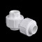 联塑PVC50mm活接 5个装白色