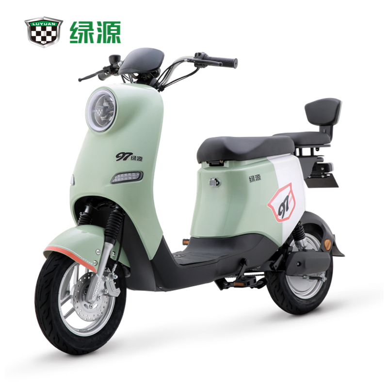 绿源新国标电动自行车48V24A锂电电动车 液冷电机 前后液压减震 ZOO