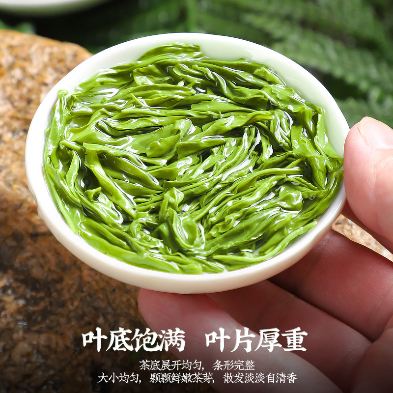 2025新茶日照高山绿茶云雾茶绿茶炒青茶毛尖茶浓香型茶叶散装500g高清大图