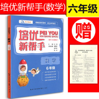 培优新帮手六年级数学上册下册通用 小学6年级数学知识点梳理巩固练习计算运算专项训练知识大全小学生辅导训练综合能力测试训练