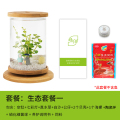 斗鱼生态瓶封闭小鱼瓶免换水瓶装观赏鱼玻璃桌面透明微景观鱼小型_1 默认尺寸 旋转鱼缸-生态套餐一