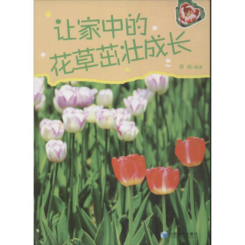 正版新书】让家中的花草茁壮成长黄媛9787509626962