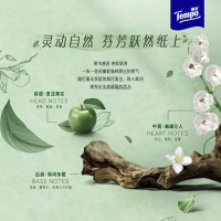 Tempo得宝手帕纸苹果木味4层加厚面巾纸12包 外出便携随身装小包香味纸巾(新旧包装交替发货)