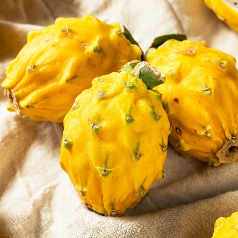 鲜木 [顺丰直达]海南麒麟果燕窝果 3/4/5 现摘新鲜金黄色火龙果 孕妇