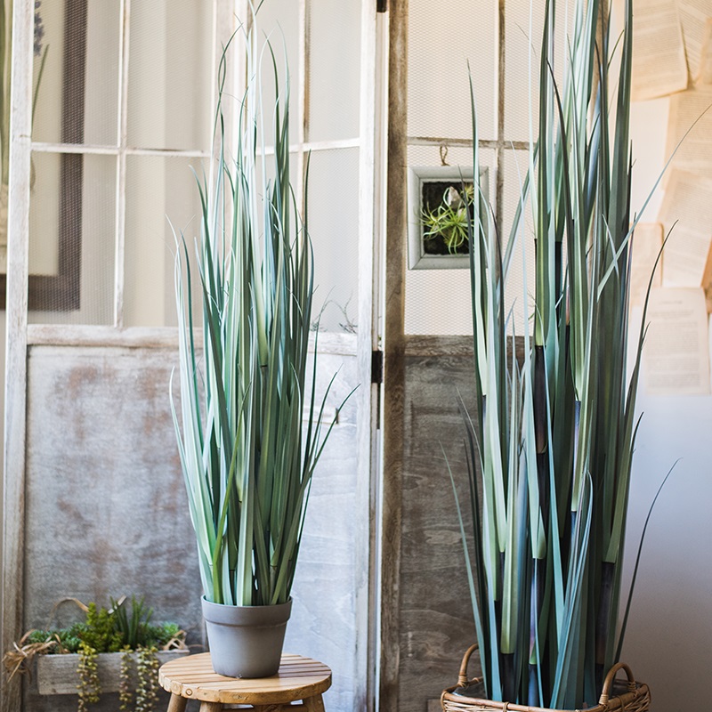 家柏饰(CORATED)洋葱盆景大型仿真植物绿植仿真树装饰摆件陈列布景道具 B缨草灰盆高清大图