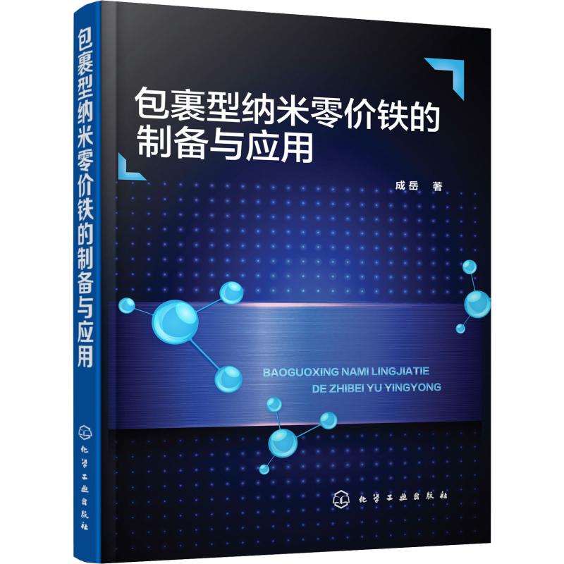 包裹型纳米零价铁的制备与应用高清大图