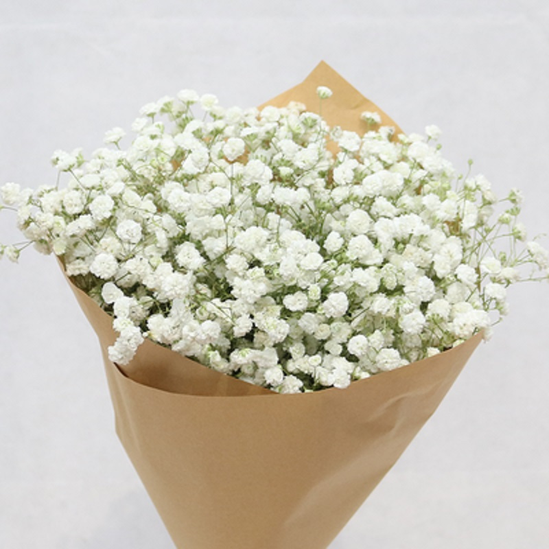 干花花束满天星家居客厅摆设小清新勿忘我永生花装饰干花包白色满天星