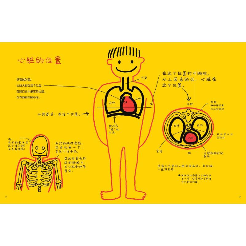 [M]扑通扑通的心脏-9787544877268高清大图