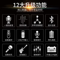 山水(SANSUI) SS1-12寸户外K歌蓝牙音响室外大音量移动拉杆广场舞大功率音箱演出便携式手拉带无线话筒