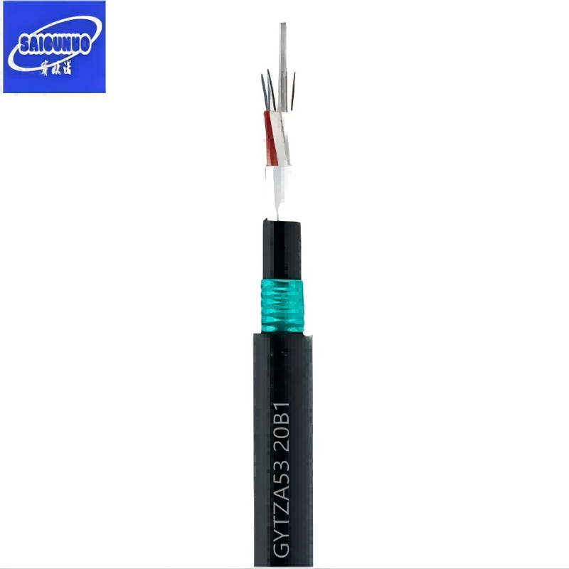 赛欧诺 混合光缆 GYTA53-24 米高清大图