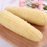 【中华特色】河北供销馆 糯妹子 白糯玉米200g*10根 真空包装熟制鲜食玉米 新鲜粘玉米杂粮粗粮早餐 河北张家口特产