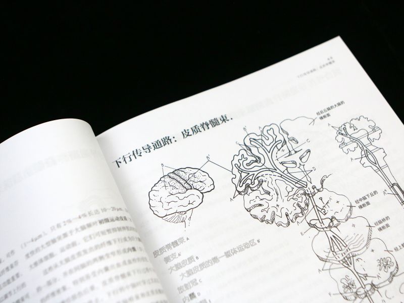 [正版]大脑笔记(神经系统涂色学习手册)科学技术文献出版社基础医学书店课外阅读书籍 书店 书籍高清大图