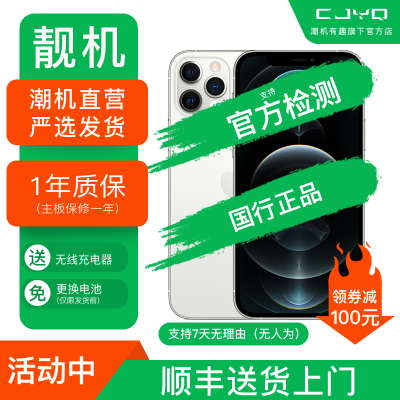 【二手95新】Apple iPhone12Promax 银白色 128GB 苹果12PM 国行全网通 正品