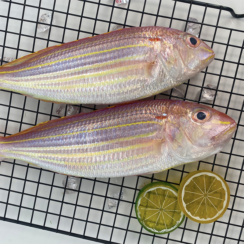桂之海北部湾野生金线鱼鲜活加工去鳞去腮去内脏海鱼400g3袋4条袋