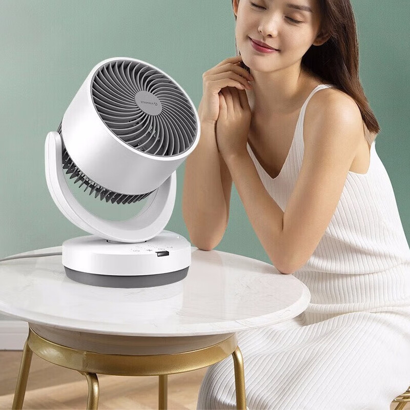 艾美特(AIRMATE)空气循环扇桌面台式小风扇家用电风扇卧室厨房客厅可用 CA15-R27高清大图