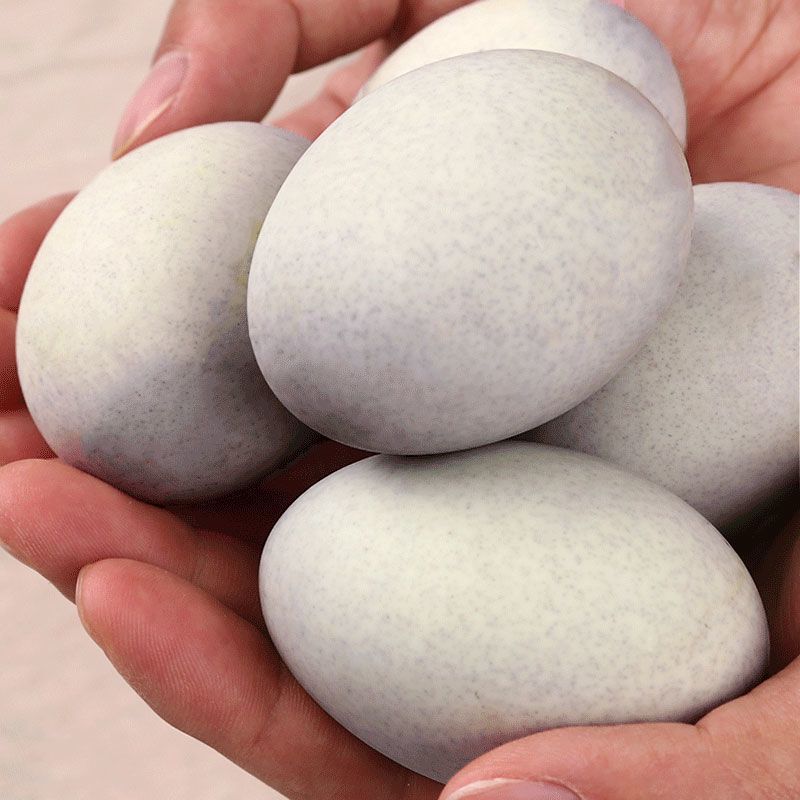 湛航蛋类 鄱阳湖松花皮蛋 松花蛋皮蛋无铅溏心皮蛋单枚鸭蛋批发70 80克30枚 价格图片品牌报价 苏宁易购大马食品专营店