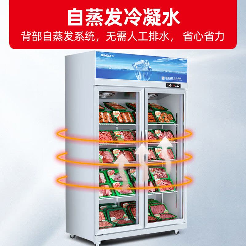 星星(XINGX) 800升双门冷藏展示柜商用风冷多门立式冷藏柜啤酒柜饮料柜陈列柜酒吧酒柜 LSD-810WD图片