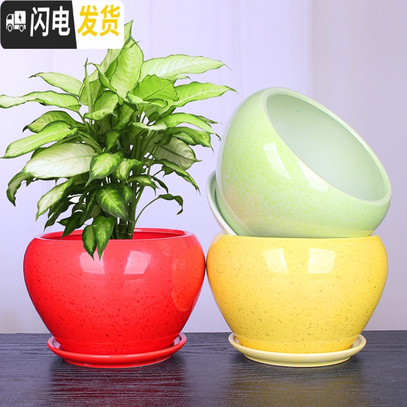 三维工匠苹果型花盆陶瓷大号绿植绿萝花盆创意个性室内阳台兰花盆 苹果.蓝雪兰 大花盆容器