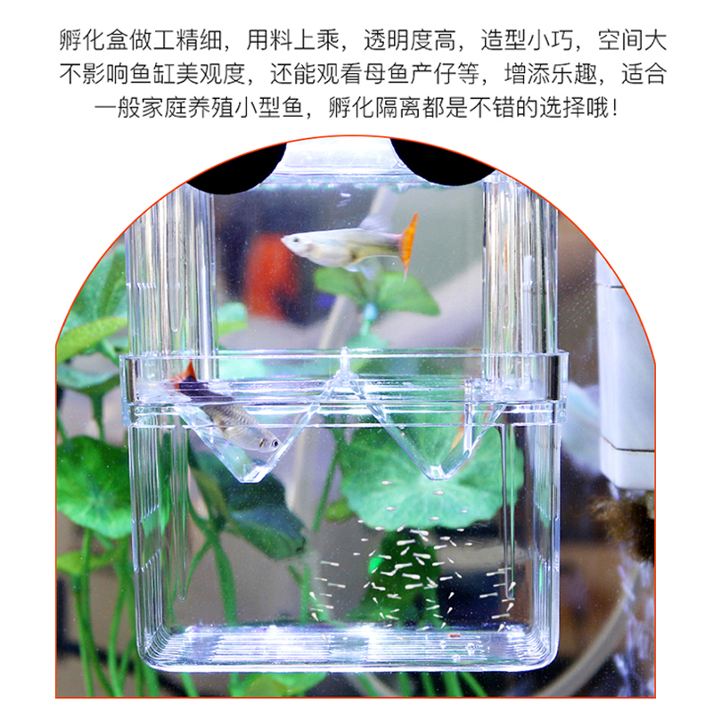 孔雀鱼繁殖盒鱼缸隔离盒孵化盒器亚克力悬浮凤尾小鱼苗产卵房分离高清大图