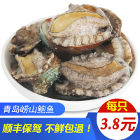 【顺丰航空】海鲜水产鲍鱼15g/只（新鲜鲍鱼）青岛海鲜水产半成品鲍鱼鲜活冷冻海参大连鲍鱼干货活冻鲍鱼