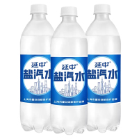 延中 盐汽水600ml*20瓶整箱装 碳酸饮料饮品咸味汽水