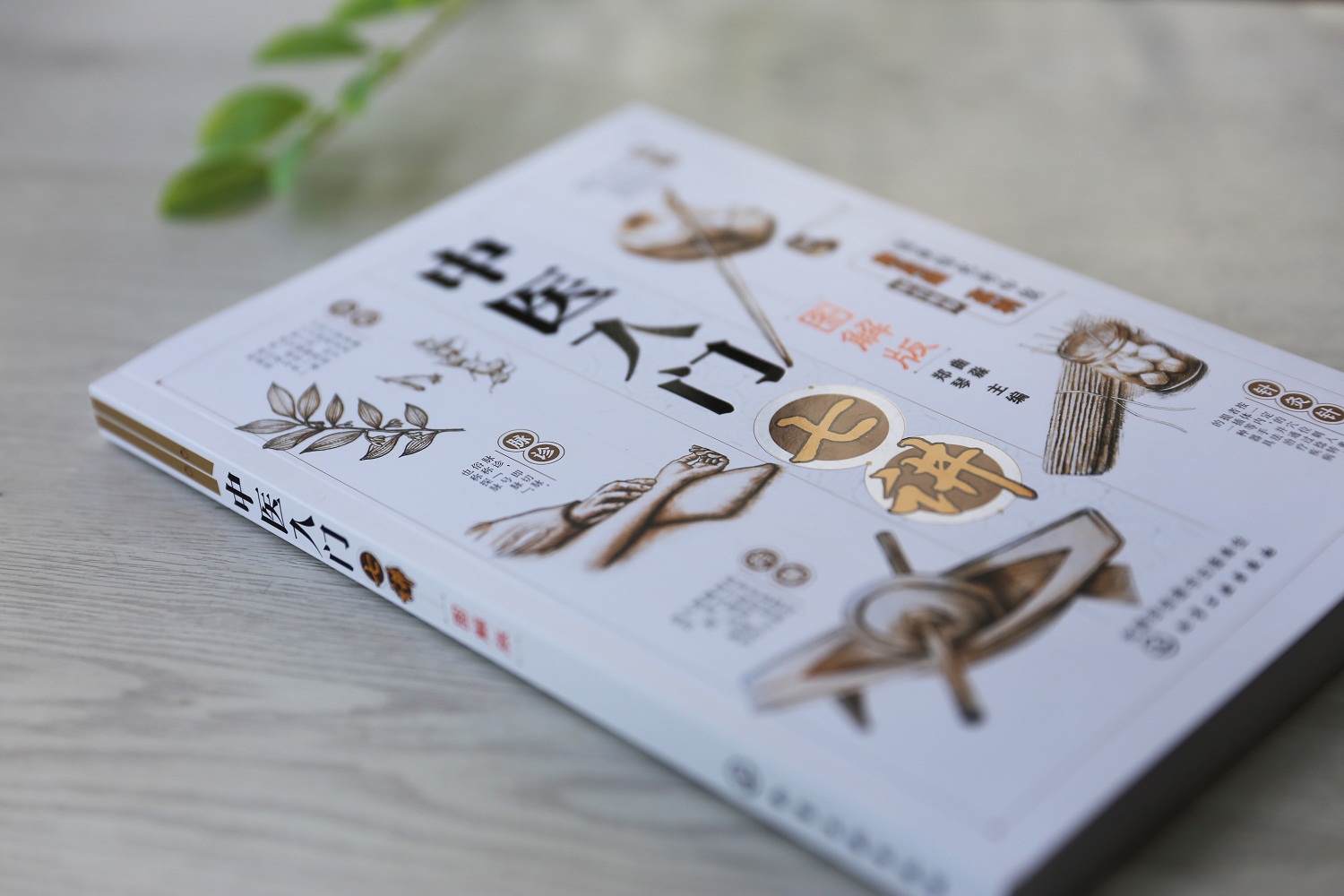 [醉染正版]图解 中医入门七讲 曲淼郑琴 零基础学中医中药中医入门自学 中医基础理论入门中医养生书籍舌诊脉诊中医书籍大全高清大图
