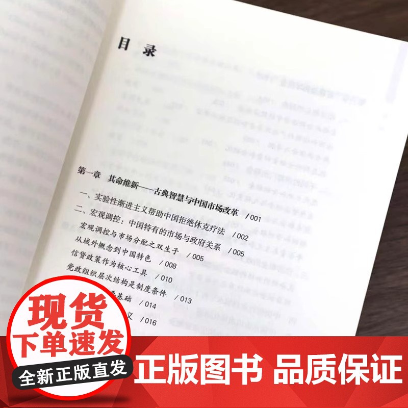 [2025 新书]锚定中国 中国经济的真相与使命 龙白滔著 在深入探究中国经济时所遭遇的一系列困惑等 经济理论书籍 东方高清大图