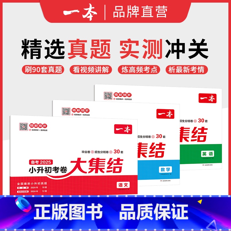 套装 小学升初中 【正版】25新小升初总复习分类试卷 小学毕业升学考卷大集结 语文数学英语小升初真题试卷小学毕业升学考试
