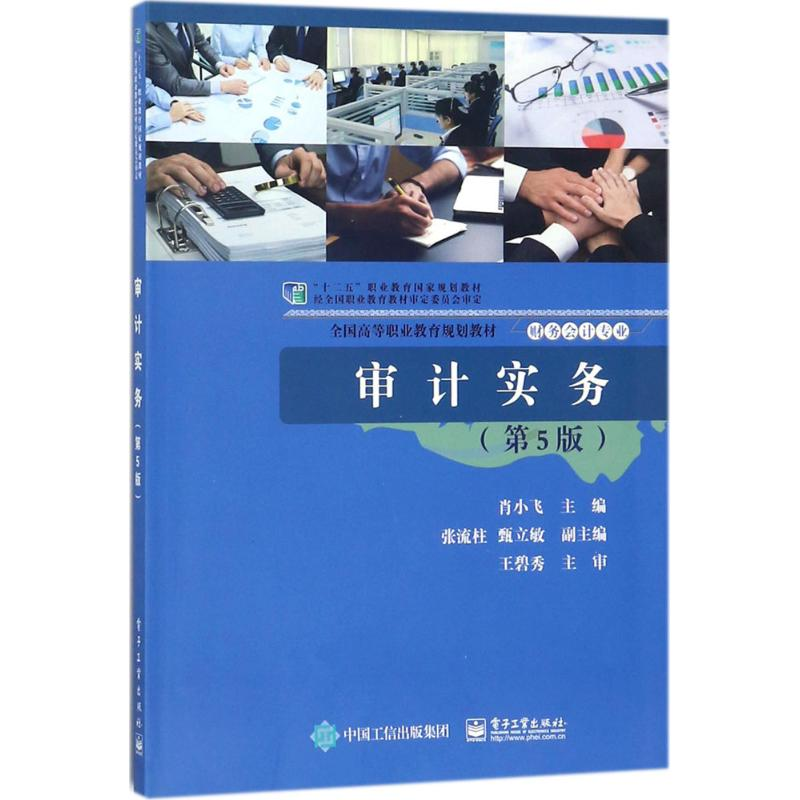 [M]审计实务-9787121335280