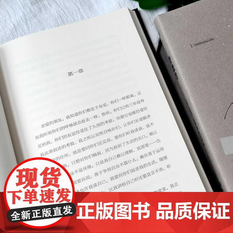 正版书籍]背德者 诺贝尔文学奖得主作品 纪德的自我剖白之书 李玉民经典全译本 精装 人间食粮 窄门 纪德文集中国友谊出版高清大图