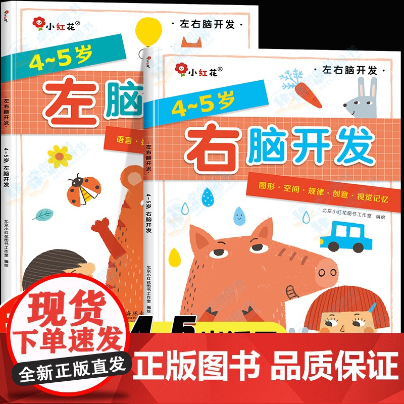 邦臣小红花左右脑开发书4-5岁儿童专注力逻辑思维训练书全脑开发大脑左脑开发右脑开发训练书籍智力大开发脑力幼儿益智类早教