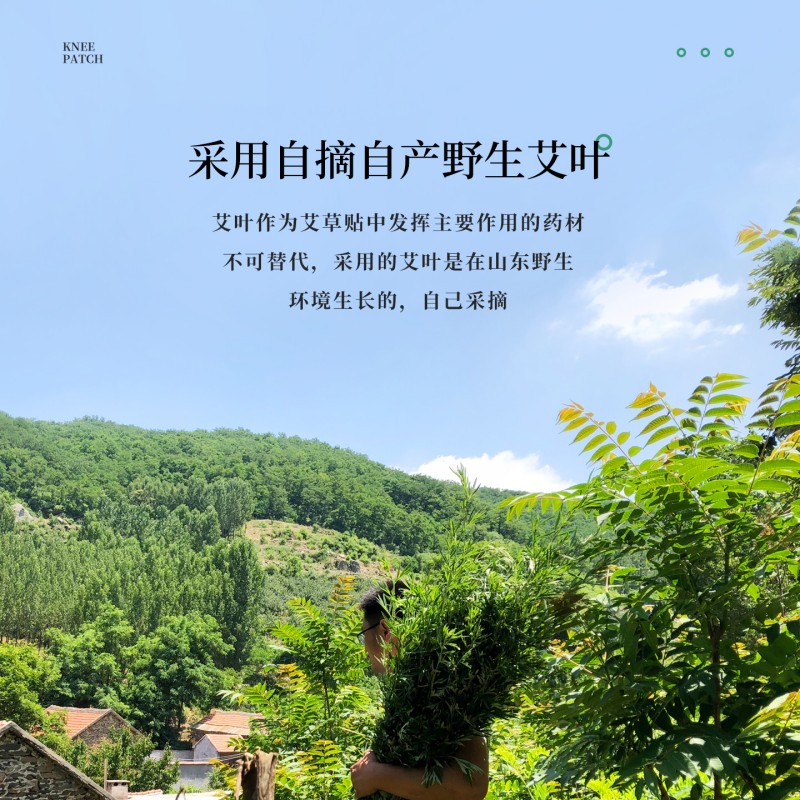 真艾堂 048-5 灼粹艾草膝盖贴12贴/盒 【五盒装】高清大图