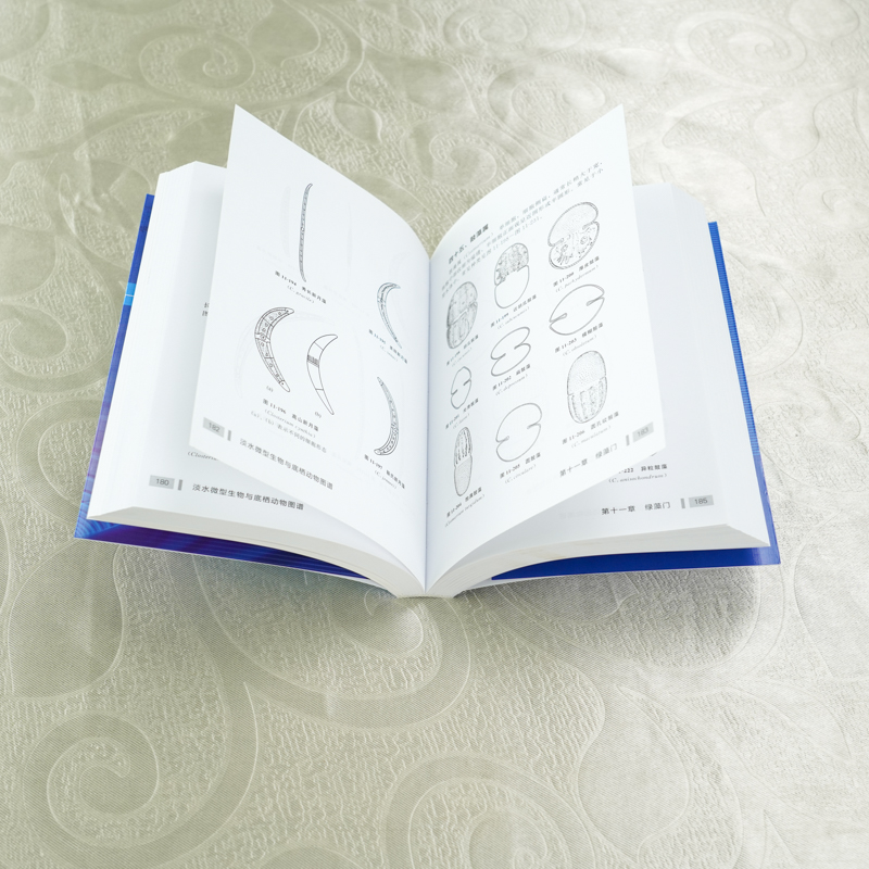 [正版]淡水微型生物与底栖动物图谱 第三版 周凤霞 细菌放线菌真菌蓝细菌藻类原生动物门轮虫节肢动物微型生物和120余种高清大图