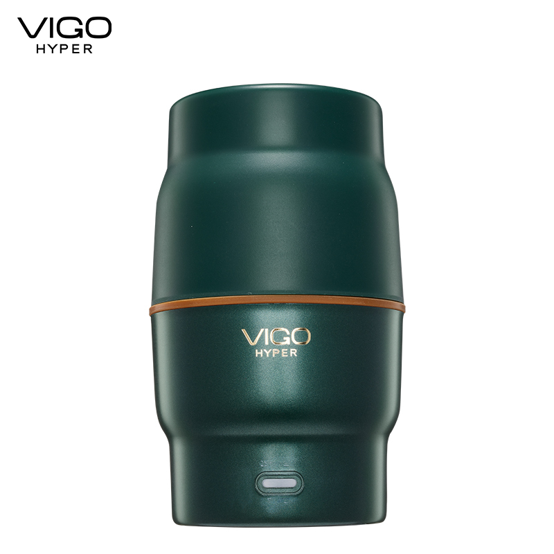 魅果(vigo)养生壶办公室便携小型煮茶器家用多功能mini玻璃煮花茶壶