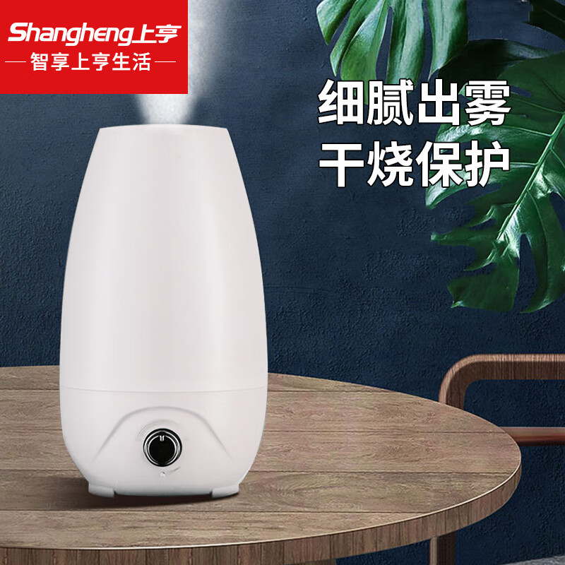 上亨(shangheng)SHZH-SHJ001 加湿器卧室家用办公室喷雾小型净化空气低噪落地桌面香薰喷雾器加湿器 白色