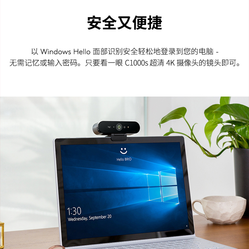 罗技C1000s超高清4KC1000e摄像头电脑usb视频麦克风直播高清大图