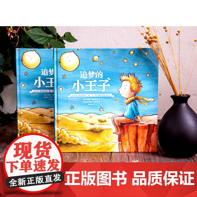 追梦的小王子·小王子之父的故事高清大图