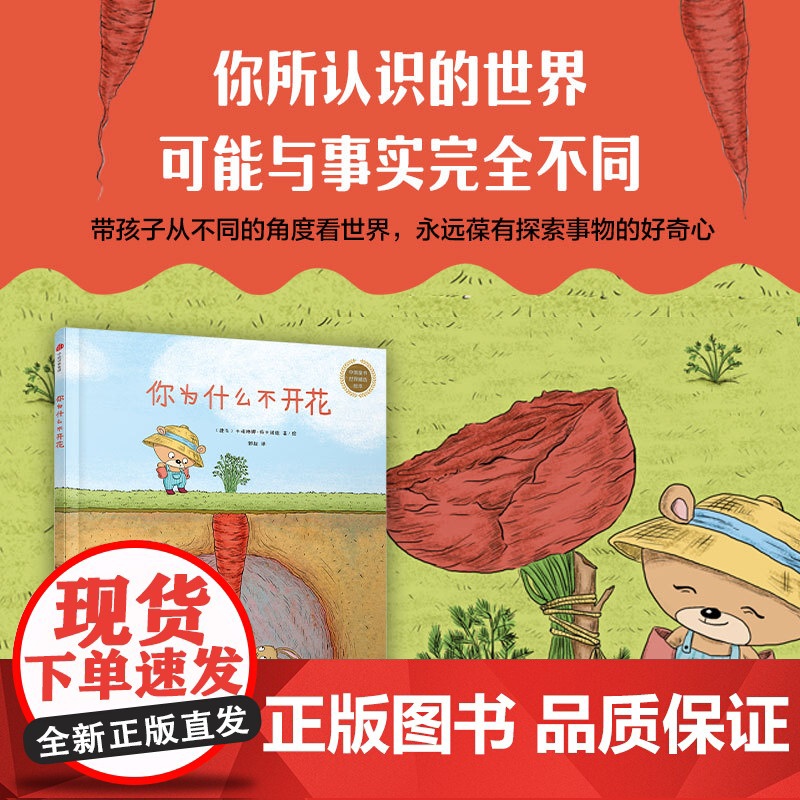 你为什么不开花绘本系列 全3册 我的花园有大海 小鸡有个大计划 保持乐观好奇心 创意观察想象力3-6岁儿童绘本图画课外阅高清大图