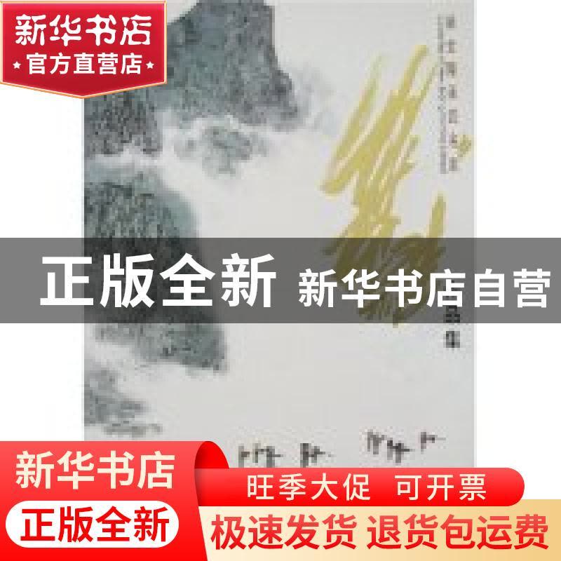 正版 叶维作品集 叶维 江苏美术出版社 9787102040974 书籍图片