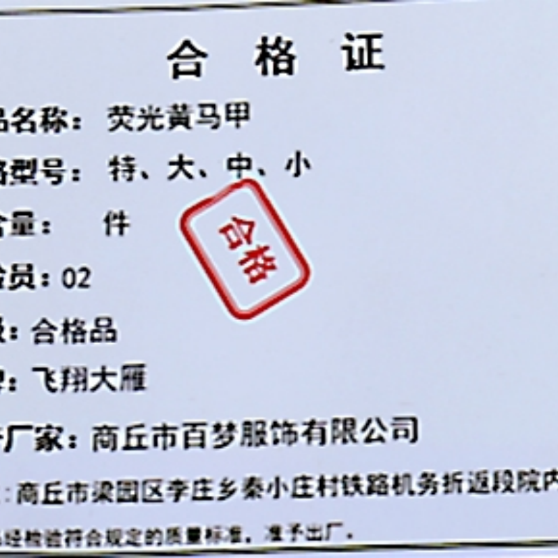 飞翔大雁 荧光黄马甲 特、大、中、小 件高清大图